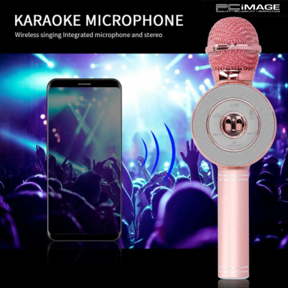WS669 Wireless Microphone Hifi Speaker