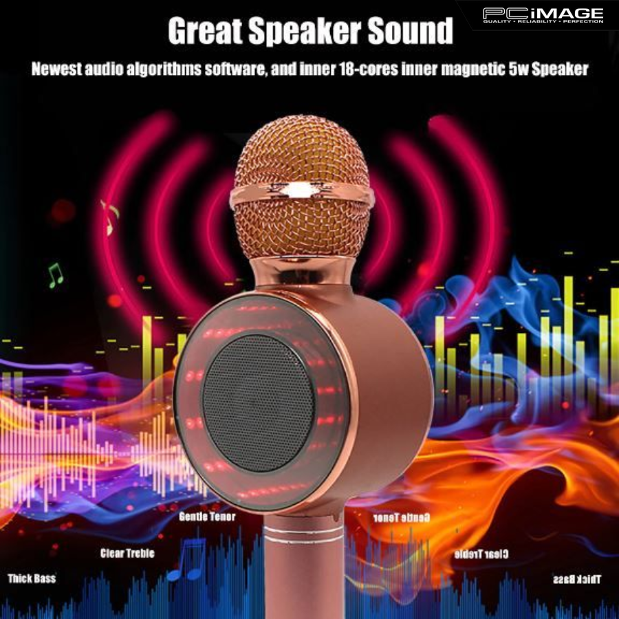 WS669 Wireless Microphone Hifi Speaker PC Image