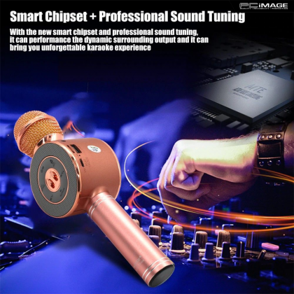 WS669 Wireless Microphone Hifi Speaker