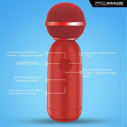 LY168 Wireless Bluetooth Microphone