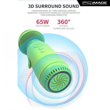 LY168 Wireless Bluetooth Microphone