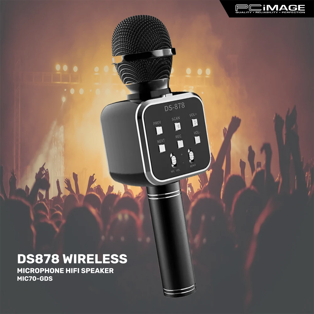 DS878 Wireless Microphone Hifi Speaker PC Image