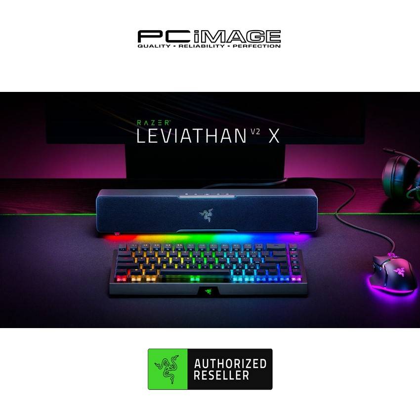 Razer Leviathan V2 X PC Gaming Compact Soundbar: USB Type C, BT,  High-Fidelity Stereo, Razer Chroma™ RGB 