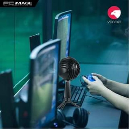 YANMAI GM888 Spherical USB Heart Directional Condenser Microphone - Black