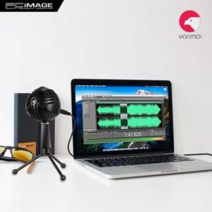 YANMAI GM888 Spherical USB Heart Directional Condenser Microphone - Black