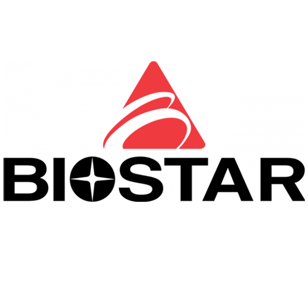 Biostar Motherboard